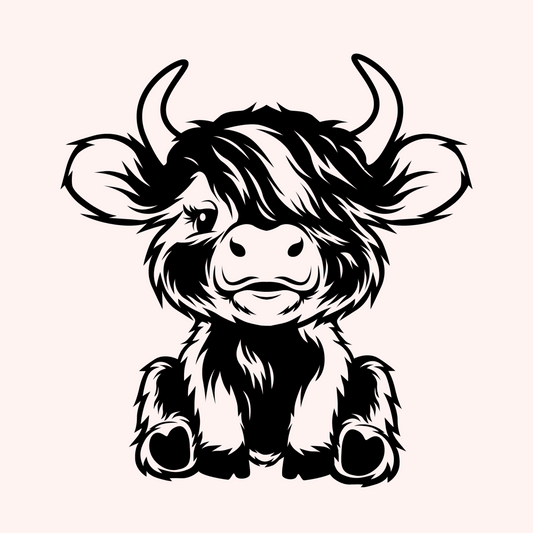 Highland Cow